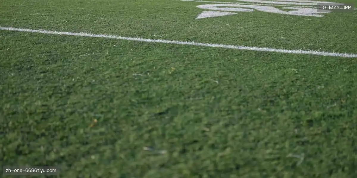 📱弹幕狂欢，实时互动！你的声音，让直播更有温度！